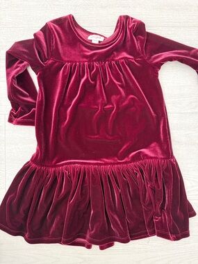 Cat & Jack Girls' Velvet Party Dress in Burgundy